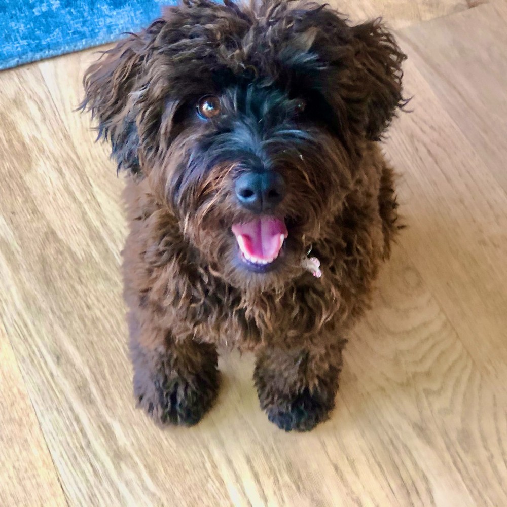 Meet your Posher, Eileen